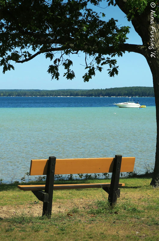 Higgins Lake State Park
